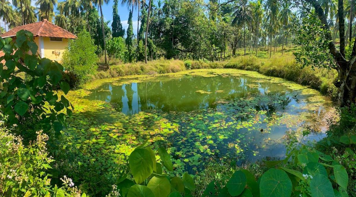 Beautiful Farm House & Villa - Monappa Estate - Top Rated Udupi Exteriér fotografie
