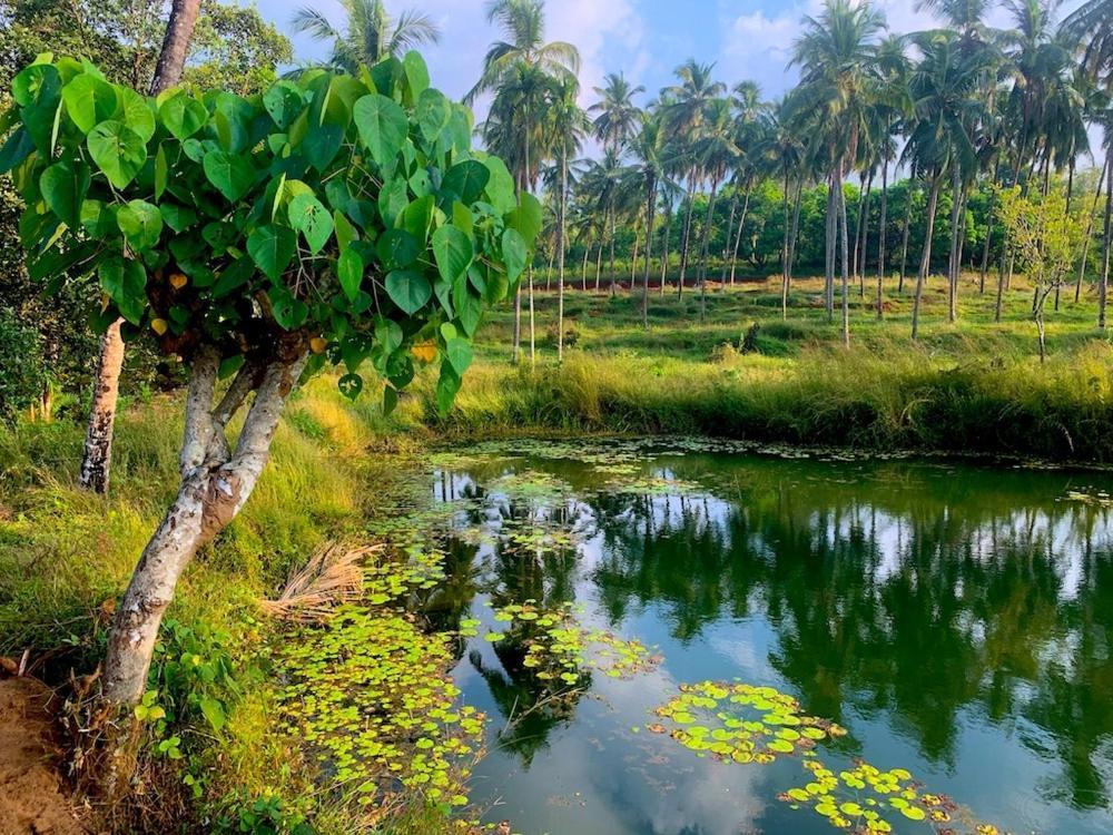 Beautiful Farm House & Villa - Monappa Estate - Top Rated Udupi Exteriér fotografie