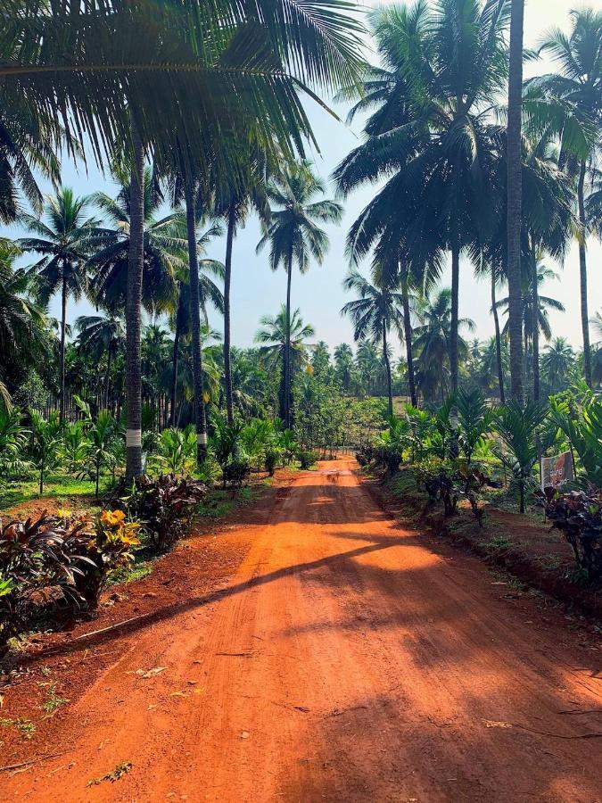 Beautiful Farm House & Villa - Monappa Estate - Top Rated Udupi Exteriér fotografie
